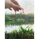 The red string brings good luck and protection, aligned with Tibetan Buddhist teachings